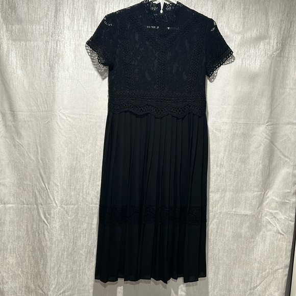 Zara Basics Lace & Pleated Dress - Picture 2 of 14